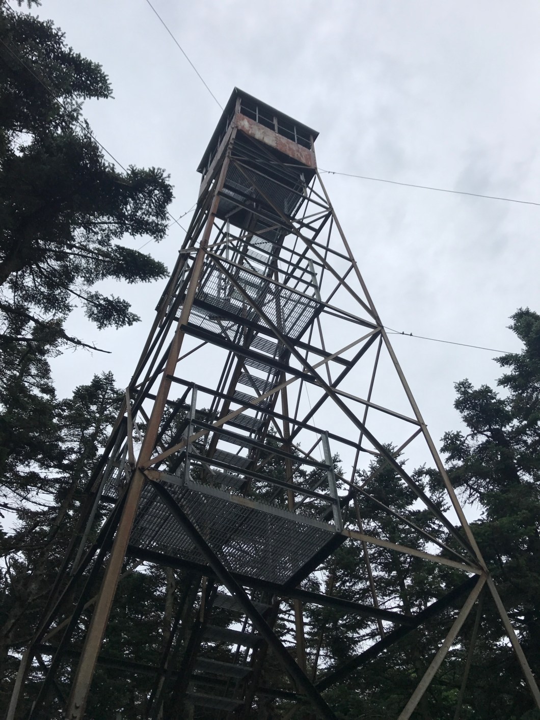 05B21495-FC71-40CF-8E5C-C8EDACC4EA3C