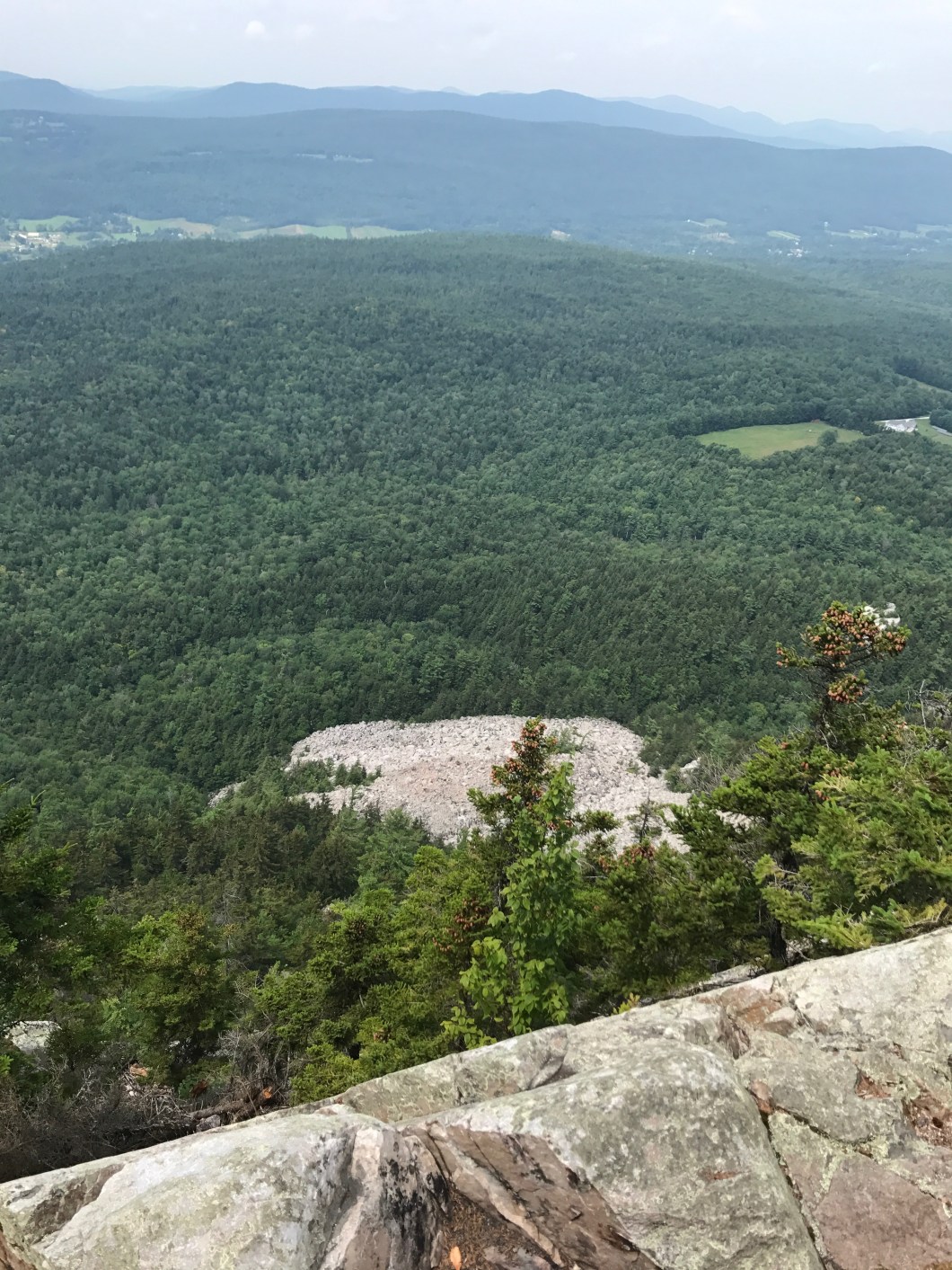 0DFD254A-9C4E-46CB-B66A-4FFECE799474