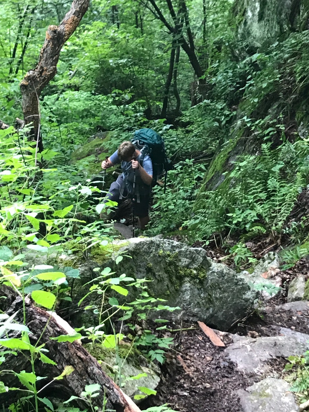 315EB5C2-3BC3-4CF2-9C78-898E13DAE62D