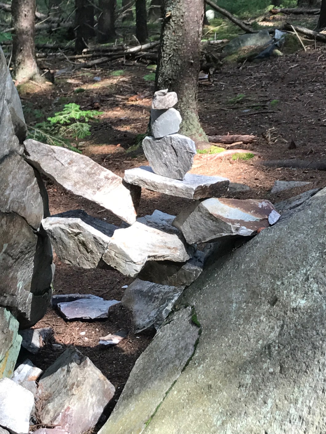 37AB1C27-76EA-42C3-A4AF-C062EDC3576D