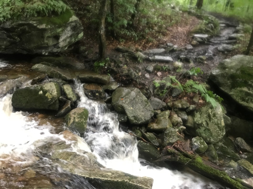 46D3DF44-8E4B-4E01-B305-07356808962D