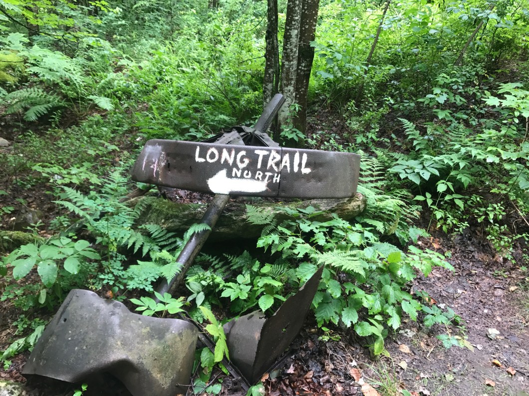 5732D42D-F30C-43FF-B7D9-2E9F106B63E9