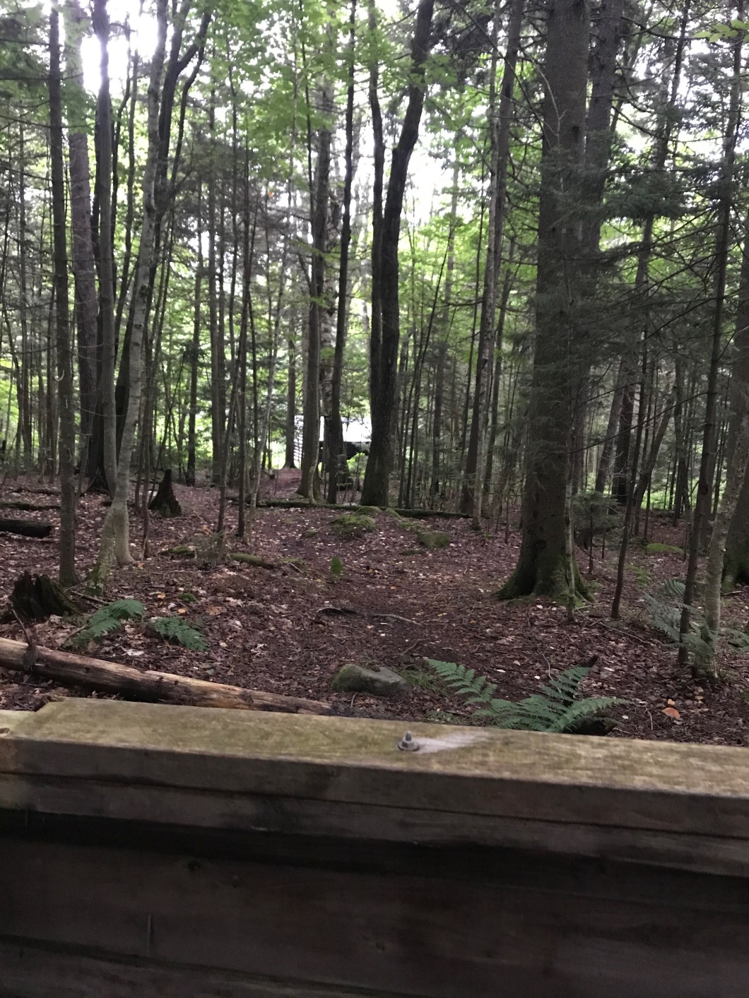 75DA0123-5A9C-4624-A2FB-3D4192C13F46