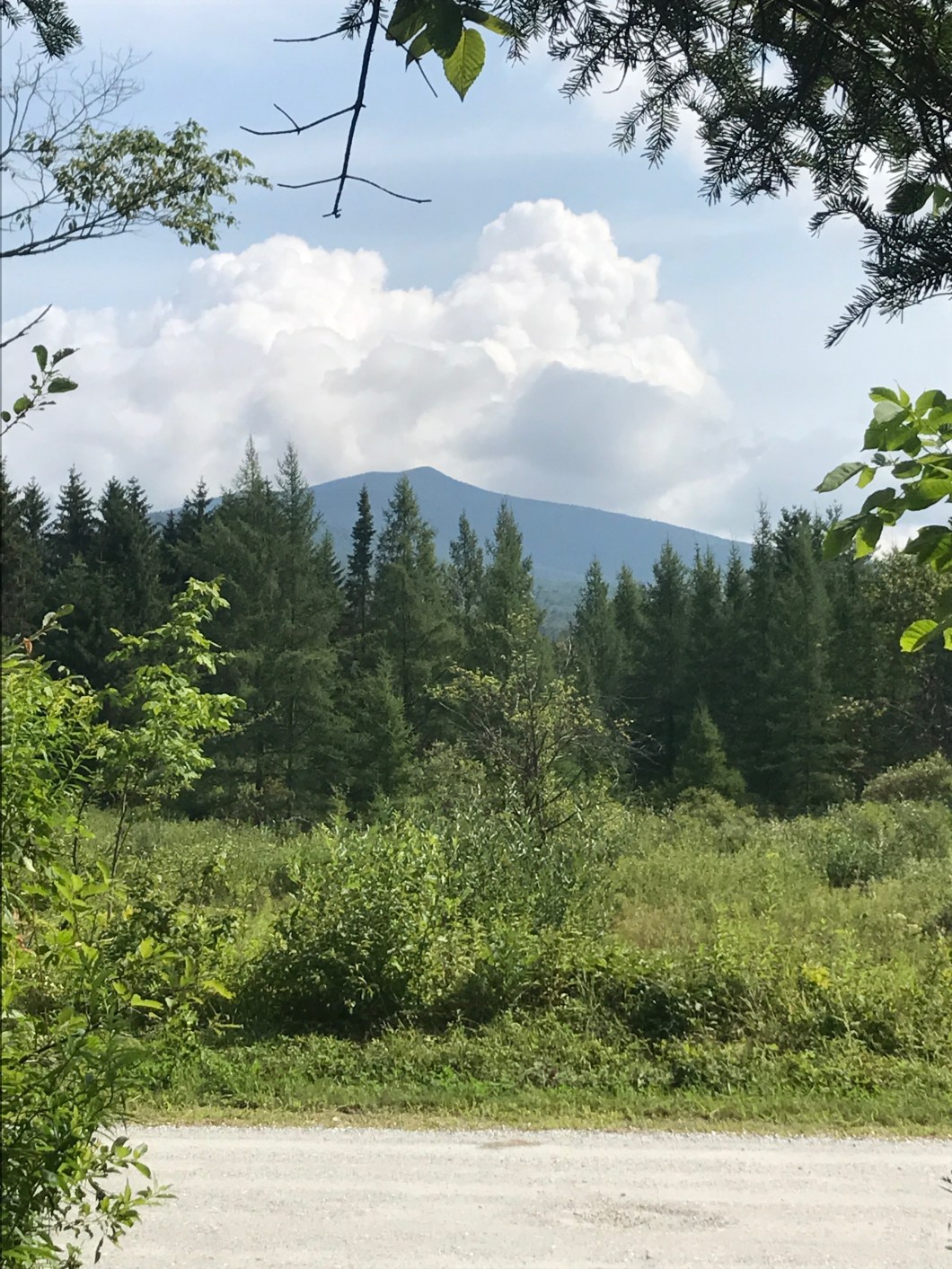 7EE414AB-8FD1-4492-B892-9573BEDE4AEC