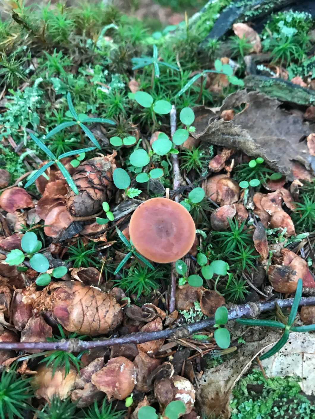 8B313310-408A-4A76-8092-2172366B53BE