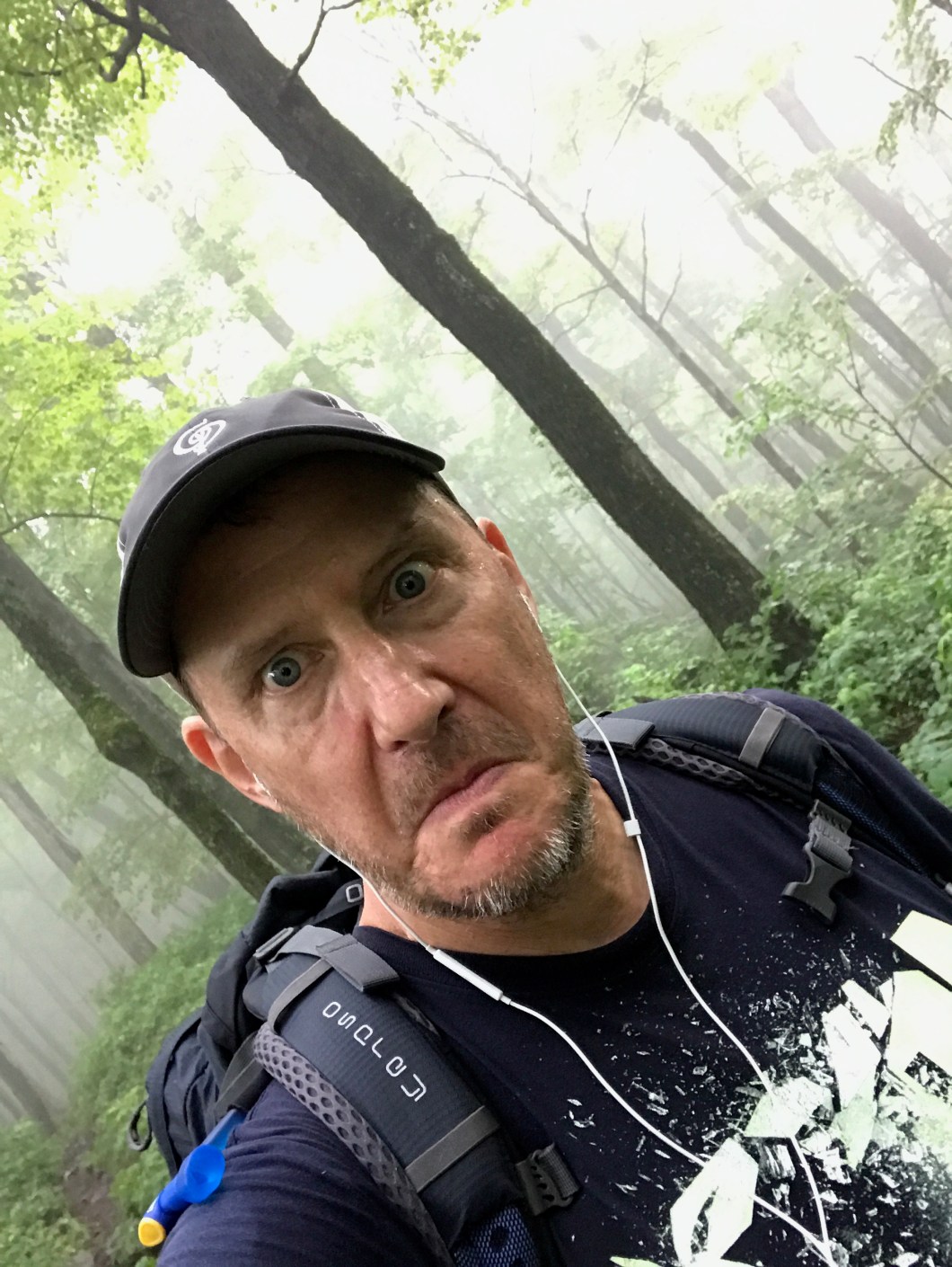 8FAE870A-612E-4C3A-BB52-0687AA9ECE39