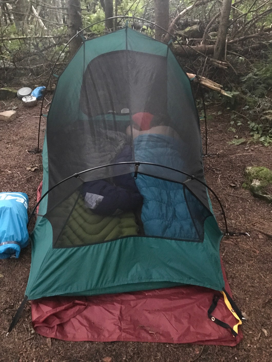 95D89558-D5EF-4121-A5AF-686CEA1179B8