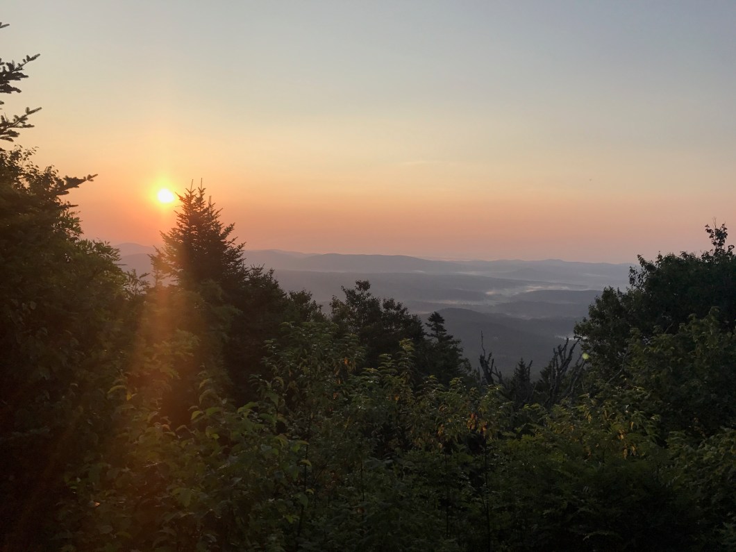 982E1C8C-B402-4665-9262-DA7695722B92