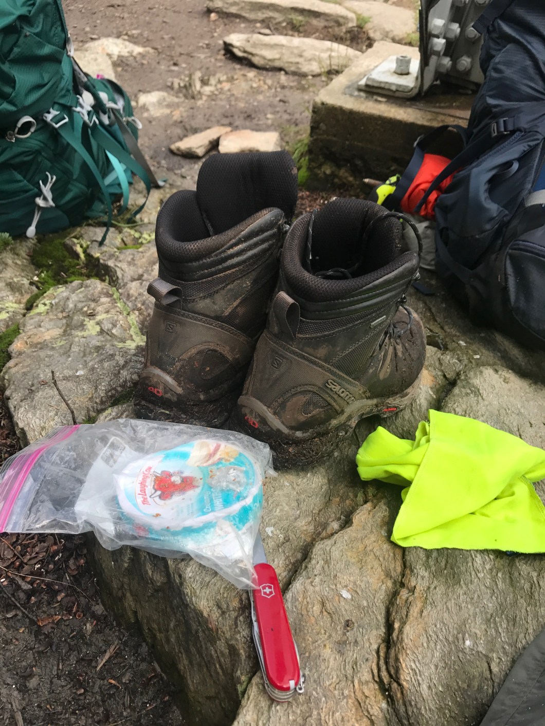 9AD11573-39C4-40DD-9E81-809D22DF0430