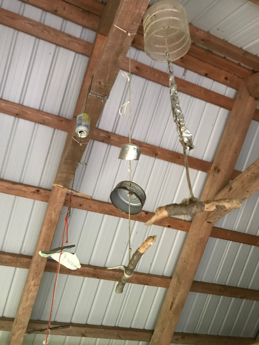 9EA290B0-3EC0-48D9-9A41-B483E383ECC0