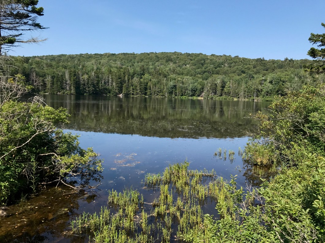 B142C20F-8F60-4535-90CB-2CD80A7FE275