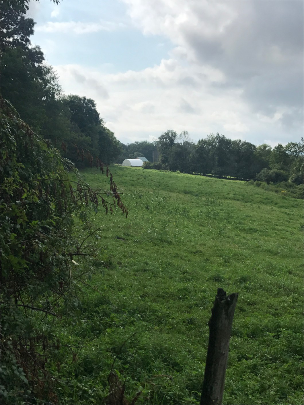 C149980F-27A8-4520-A2FE-2542D000A1E6