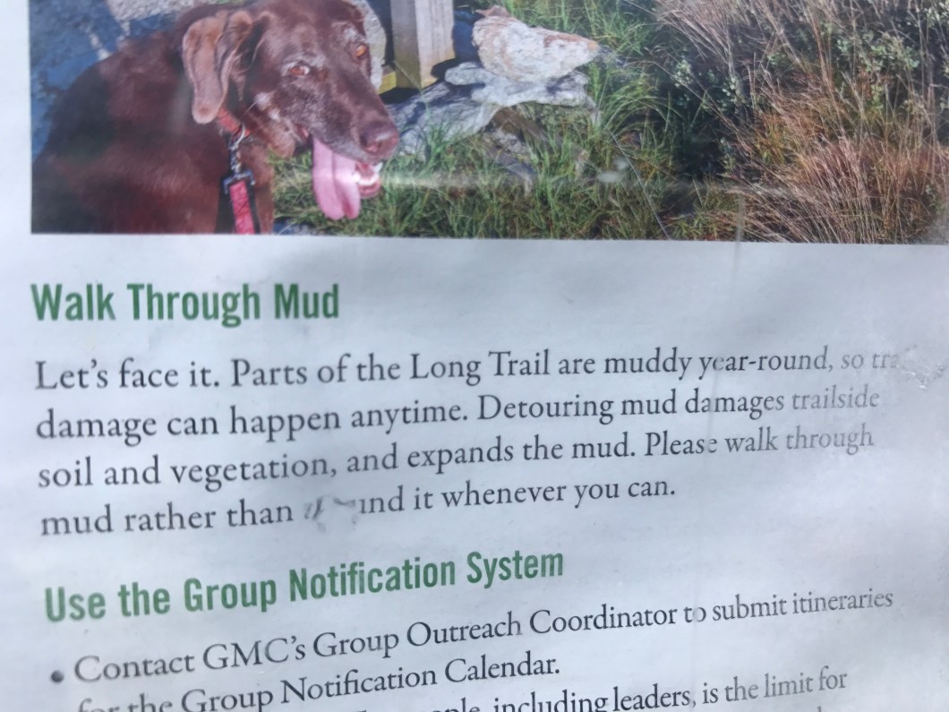 CC8C5980-77CD-4E42-8279-FF5AA739D0C9