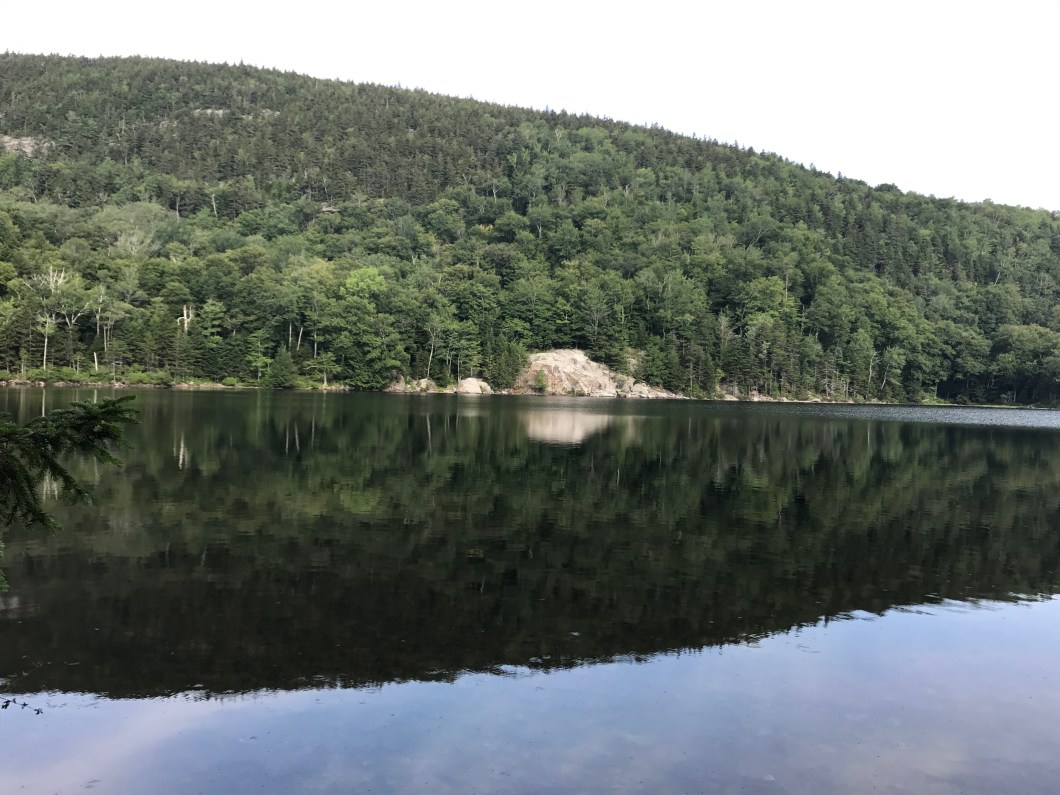 D089ECC1-00D7-45F6-A542-A42CF1623B6B