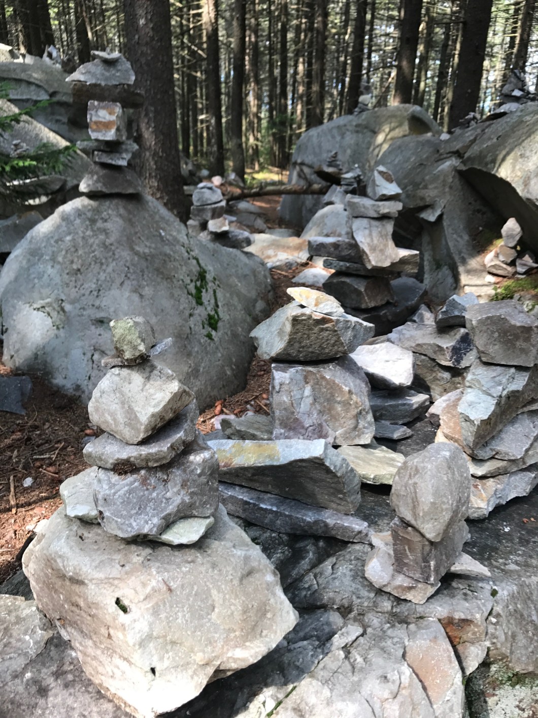 D5665A04-9B7E-498C-9FE1-C8E6A6C077B1