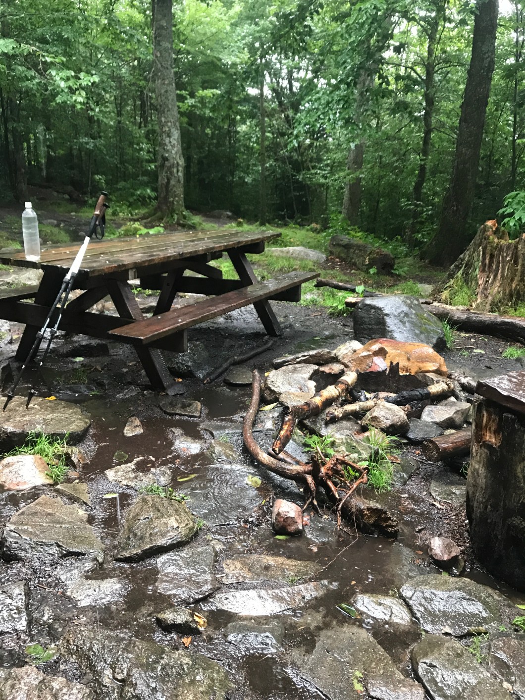 E915A61A-78C0-4C30-94B4-273C9698500A