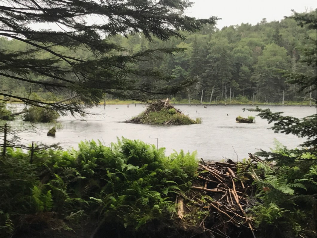 ECDE6001-70C2-45E8-8E55-9D331E7B4357